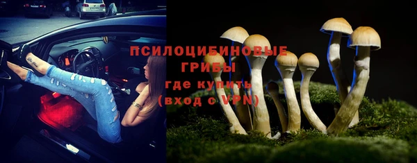 тгк Корсаков