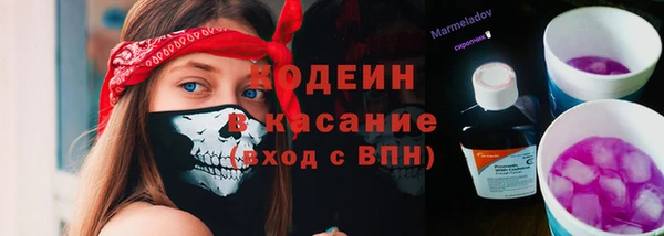 тгк Корсаков