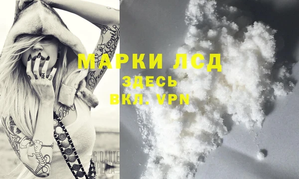 гидропоника Коряжма