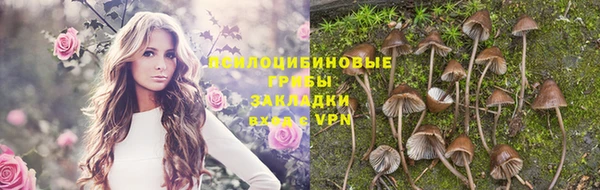 тгк Корсаков