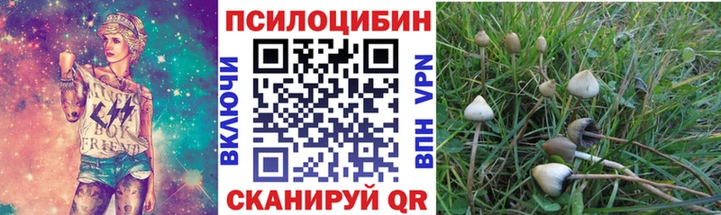 Купить где  Туран  Галлюциногенные грибы ЛСД 